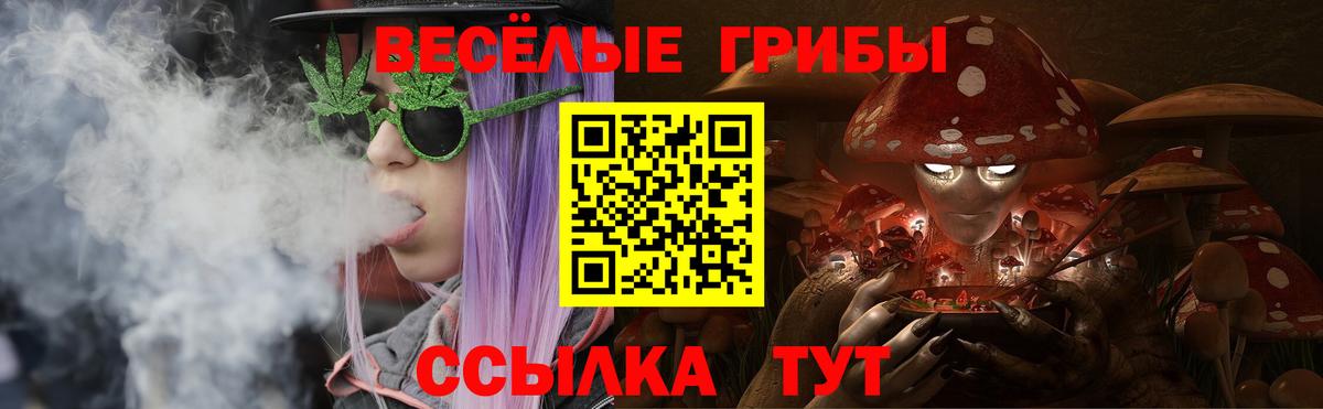 Псилоцибиновые грибы GOLDEN TEACHER  Вход с VPN  Ливны 
