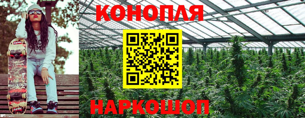 Шишки марихуана план  Шишки марихуана SATIVA & INDICA  Ливны  Вход с VPN  Шишки марихуана планчик  Марихуана семена 